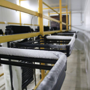 MTH - Fábrica de Refrigeración por Absorción